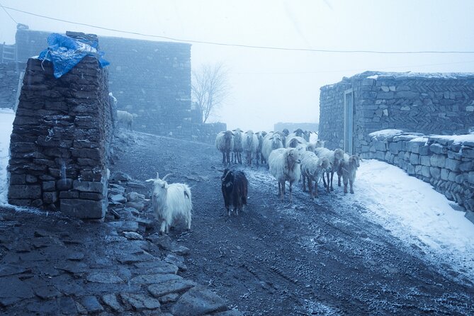 3-Day Hiking & Trekking Tour Remote Villages in Guba Azerbaijan - Day 1: From Baku to Griz by the Eh Yolu