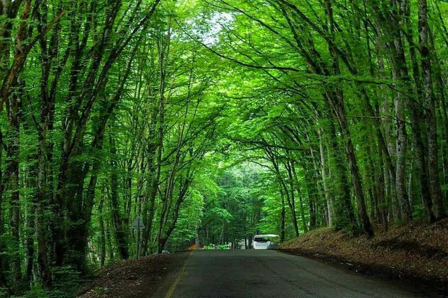 Baku: Guba, and Shahdag Adventure - Why this northern Azerbaijan day trip works