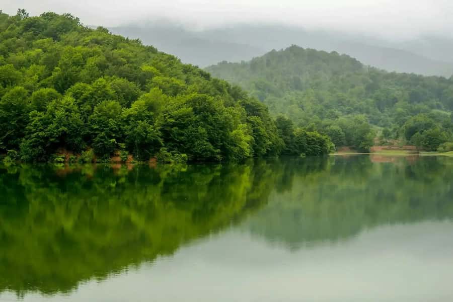 Baku: Guba, and Shahdag Adventure - A shaded hour at Gachrash Forest