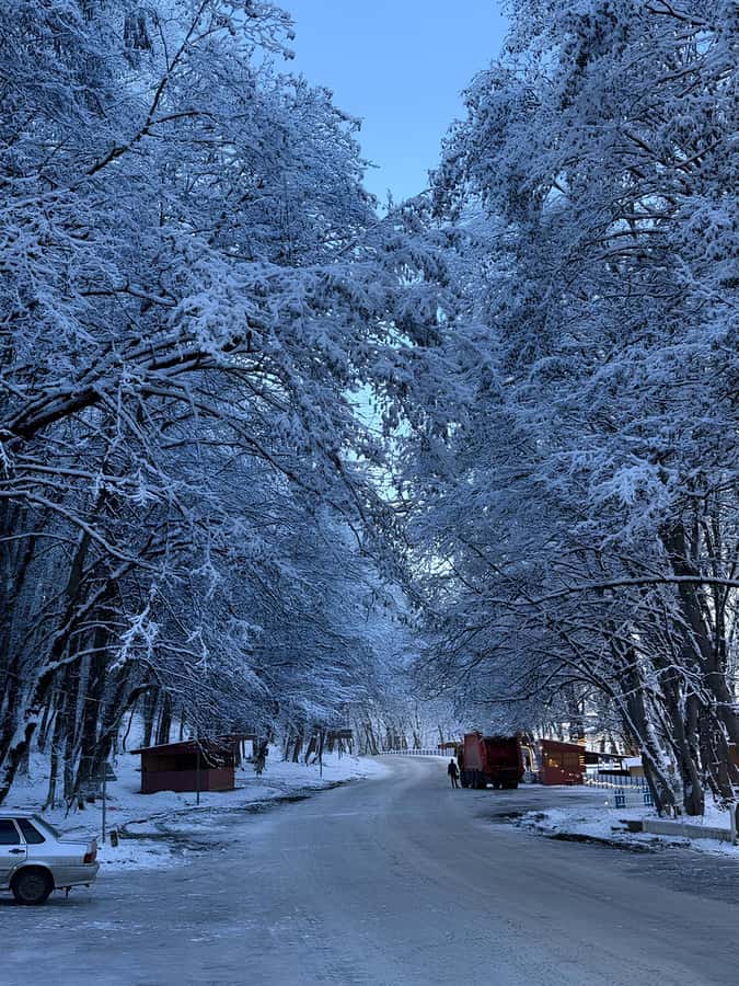 Baku: Guba, Candy Cane, and Shahdag Mountain Resort Trip - Beshbarmaq and the short Guba visit