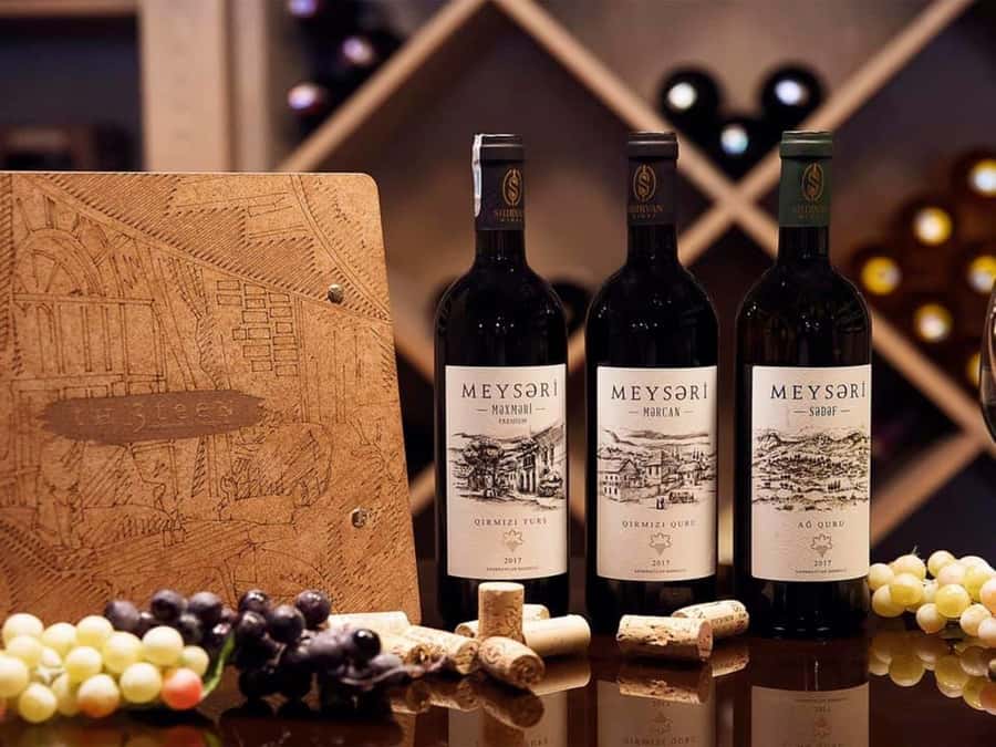 Baku: Organic Winery Tour in Shamakhi with Local Lunch - Seeing production and cellar storage