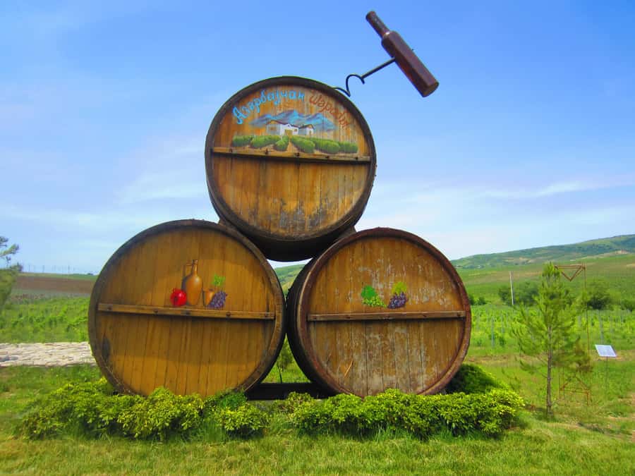 Baku: Organic Winery Tour in Shamakhi with Local Lunch - Local lunch after the winery