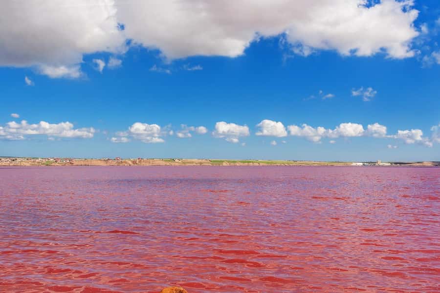 Baku: Pink Lake, Candy Cane & Beshbarmag Mountains - Key points before you book
