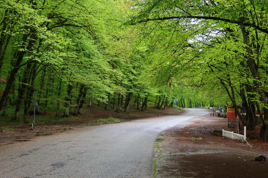 Baku: Quba Khinaliq Group Tour, Free Gobustan Absheron Tour - Guide quality and communication
