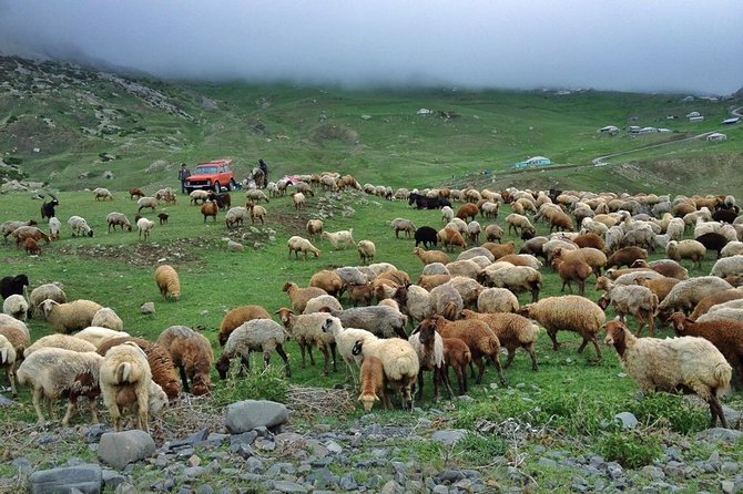 Day Trip to Khinalug, Guba - A local lunch gives Khinalug real character