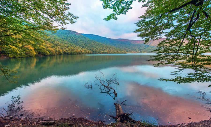 From Baku: Gabala and Shamakhi Nature Tour - The green waters of Nohur Lake