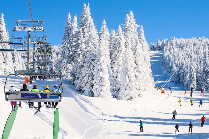 From Baku: Gabala Day Trip - Inside Gabala Sport Club