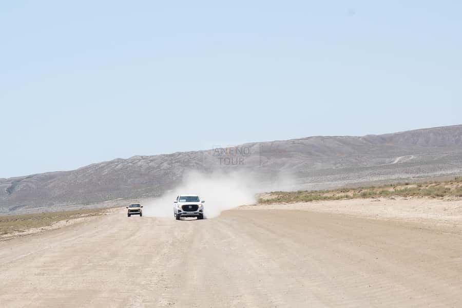 From Baku: Gobustan 4x4 Private Tour - Private - Who will enjoy this tour most