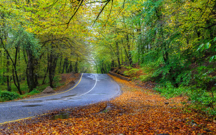 From Baku: Guba-Khinalig Day Trip - Why this Guba route is worth your time