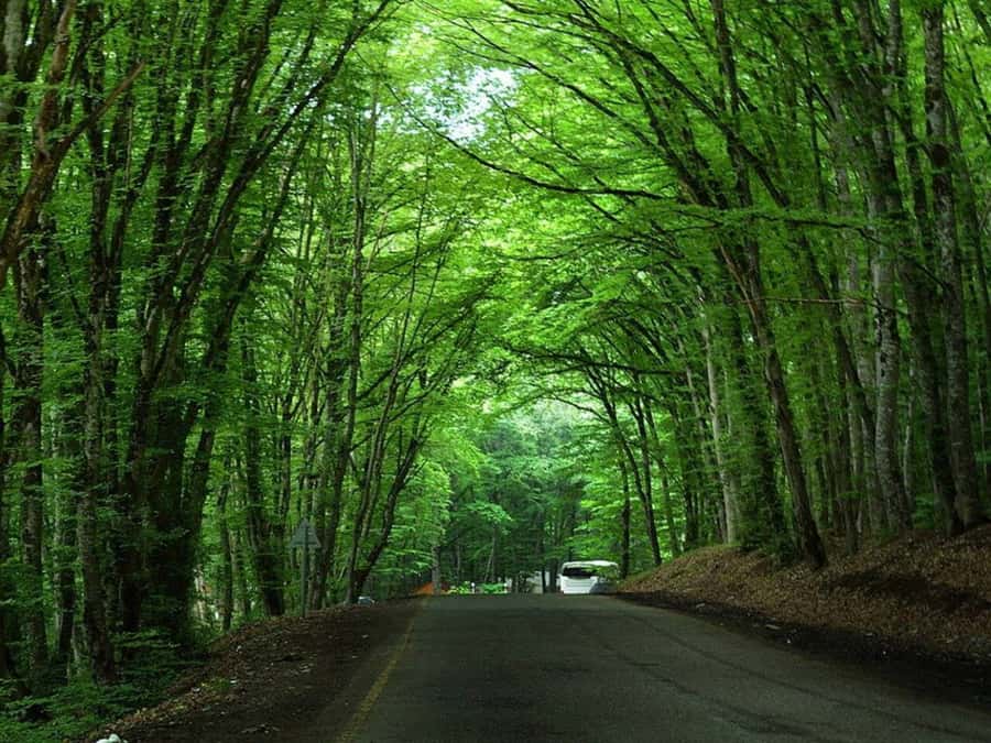 From Baku: Guba-Khinalig Day Trip - Khinalig is the heart of the outing