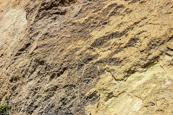 Gobustan and Mud volcanoe GROUP TOUR - What the $52 price really includes