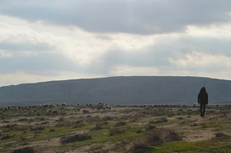 Gobustan, Mud Volcano, Burning Land and Fire Temple Tour - Mud volcanoes and a gray world beside the Caspian