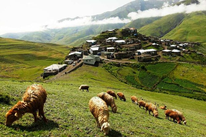Guba and Khinaliq trip with HOMEMADE lunch (Group or Private) - Why this day trip is worth the long ride