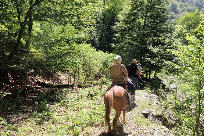 Horseback Riding in Azerbaijan - Practical advice before you book
