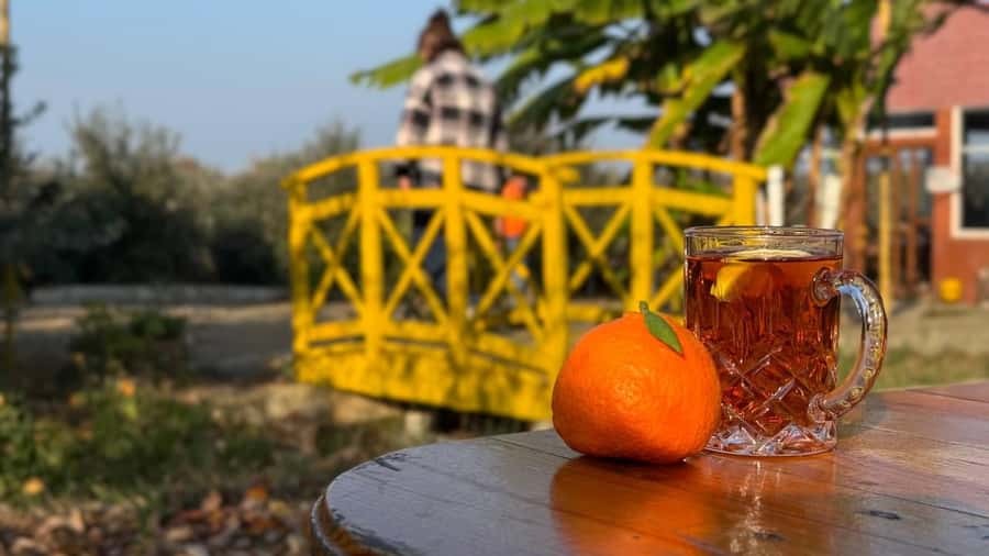 Longevity Secrets of Azerbaijan: Lankaran & Astara tour - Khan Palace shows Lankaran’s historical side