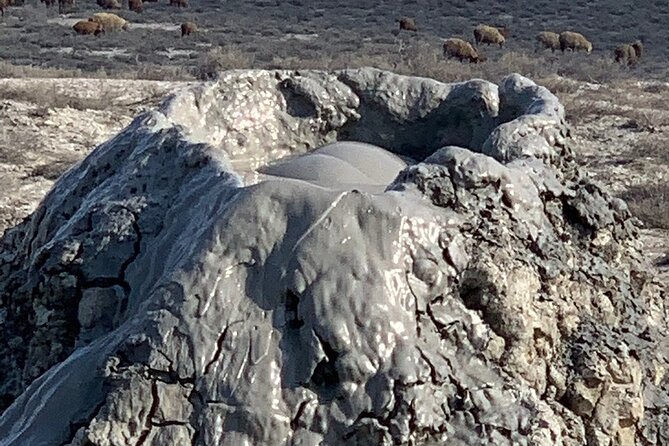 Mud Volcanoes & Gobustan Private Tour - Timing, tickets, and what to bring
