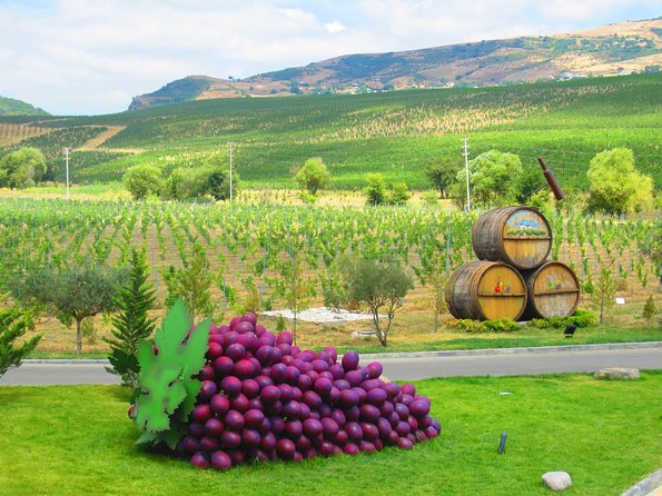 Organic Wine Tour Shamakhi with Local Lunch - Five things to know before booking