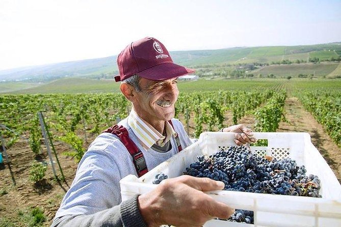Organic Wine Tour Shamakhi with Local Lunch - Is $240 per person good value?