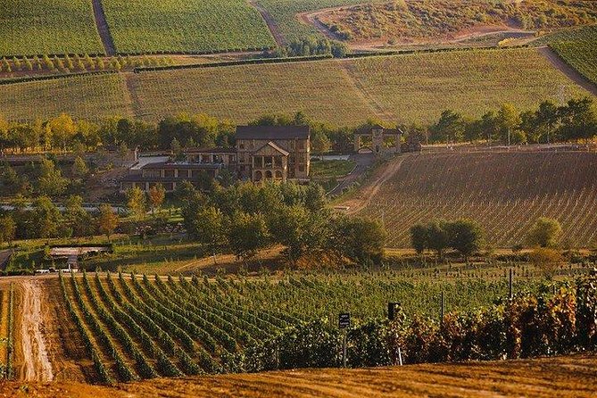 Organic Wine Tour Shamakhi with Local Lunch - What makes Shamakhi worth the trip
