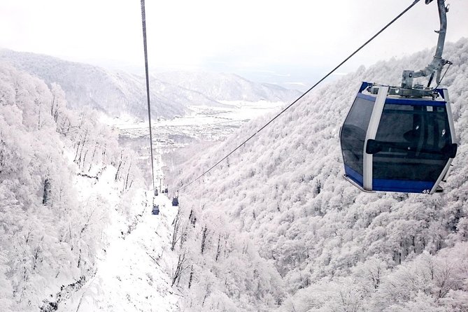 Private Gabala Tour - Who will enjoy this Gabala day trip