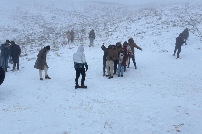 Shahdag Tour and Candy Cane Mountains tour - Who Will Enjoy This Azerbaijan Day Tour?