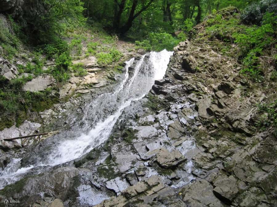 Shamakhi and Gabala Guided Day Tour - What this Baku day trip is really like