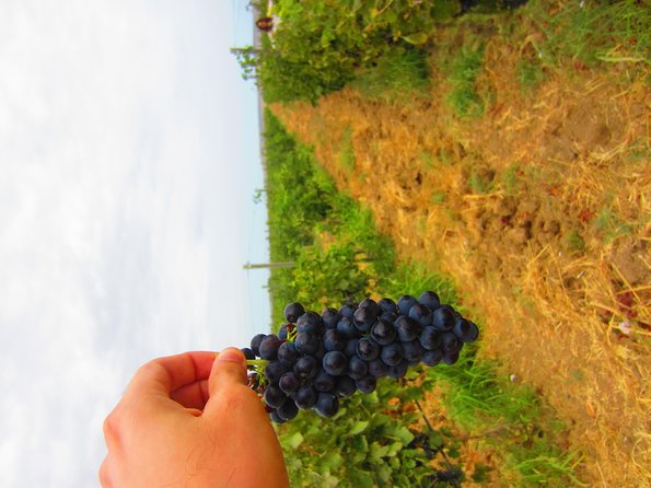 Wine Tour Baku - Leaving Baku for the Novkhani Winery