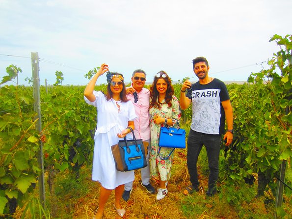 Wine Tour Baku - Six to Eight Wines, Not Just a Single Sample
