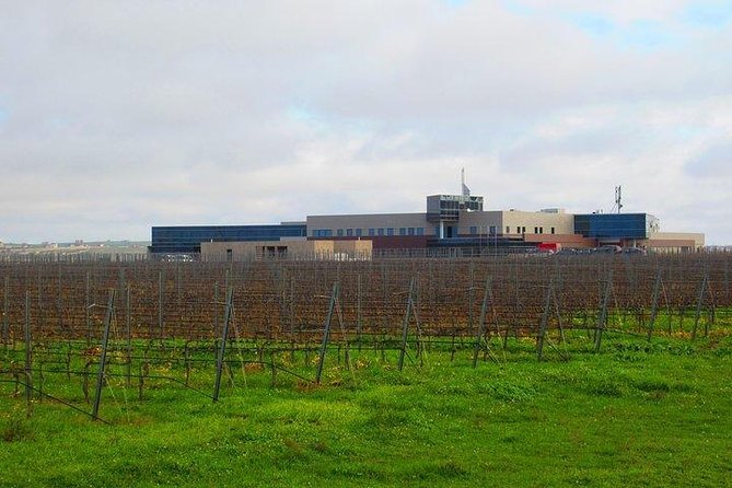 Wine Tour Baku - Timing, Transport, and Practical Details