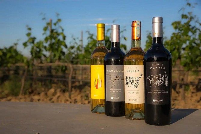 Wine Tour Baku - Who Will Enjoy This Baku Wine Tour?
