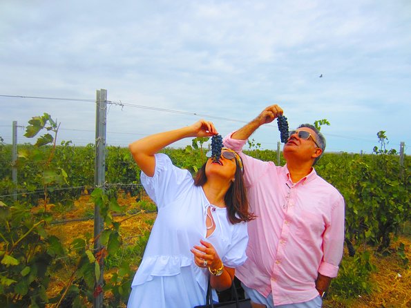 Wine Tour Baku - Walking Through Azerbaijani Wine Country