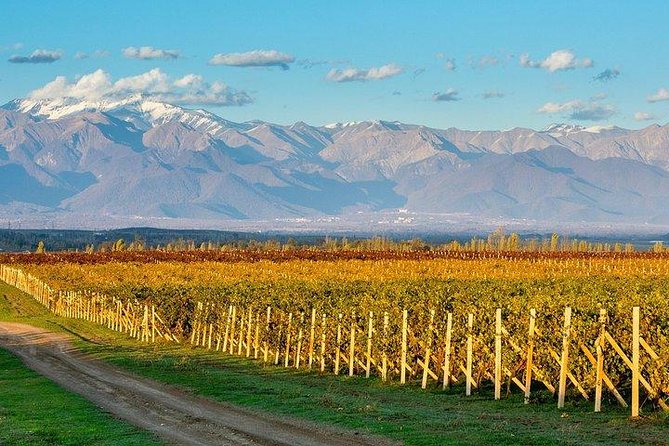 Wine Tour Qabala with Local Lunch - Nohur Lake: tea, baklava, and a calm first stop