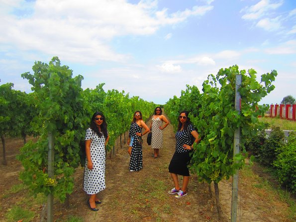Wine Tour Qabala with Local Lunch - Nasimi’s personal hosting style
